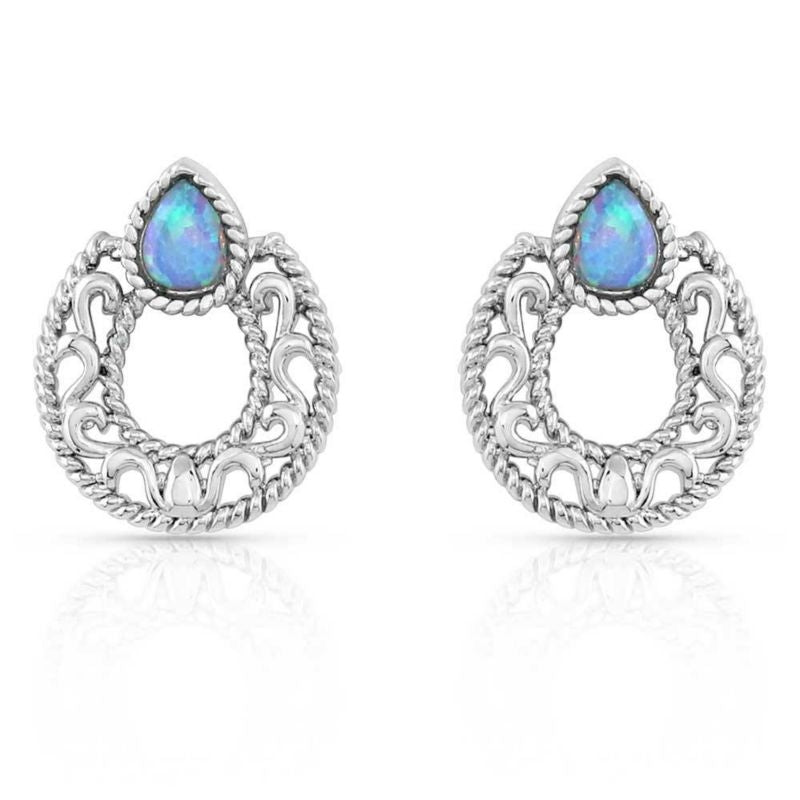 Montana Silversmiths Roped In Horseshoe Earrings