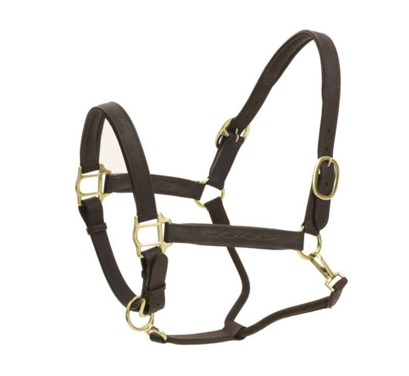 Ovation Richtan Luxury Padded Halter Horse Black/B