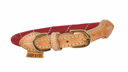 Shires Digby Reflective Dog Collar