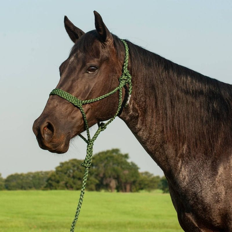 Cashel Flat Braid Halter with 9 Ft Lead Black