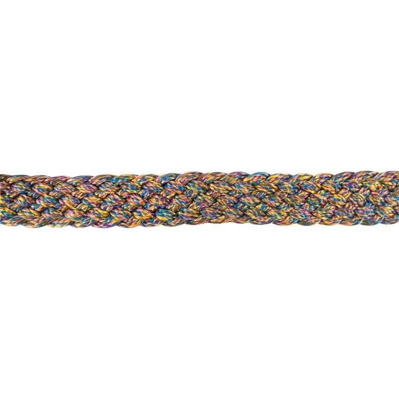 Cashel Flat Braid Halter with 9 Ft Lead Black