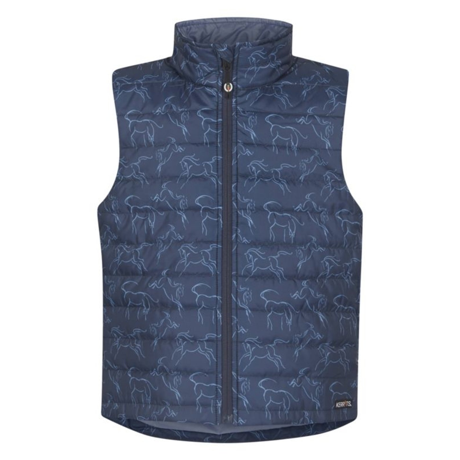 Wild Bird - C And S Bluebird Nuggets Plus 27oz