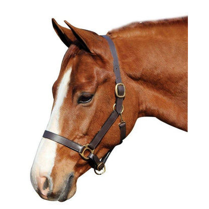 Advantage Leather Halter/ Comfort Padding Horse Br