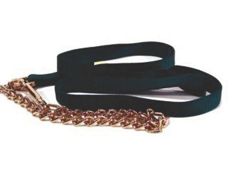 Hamilton Nylon Large Animal Lead /Chain 5x5x5 Grn