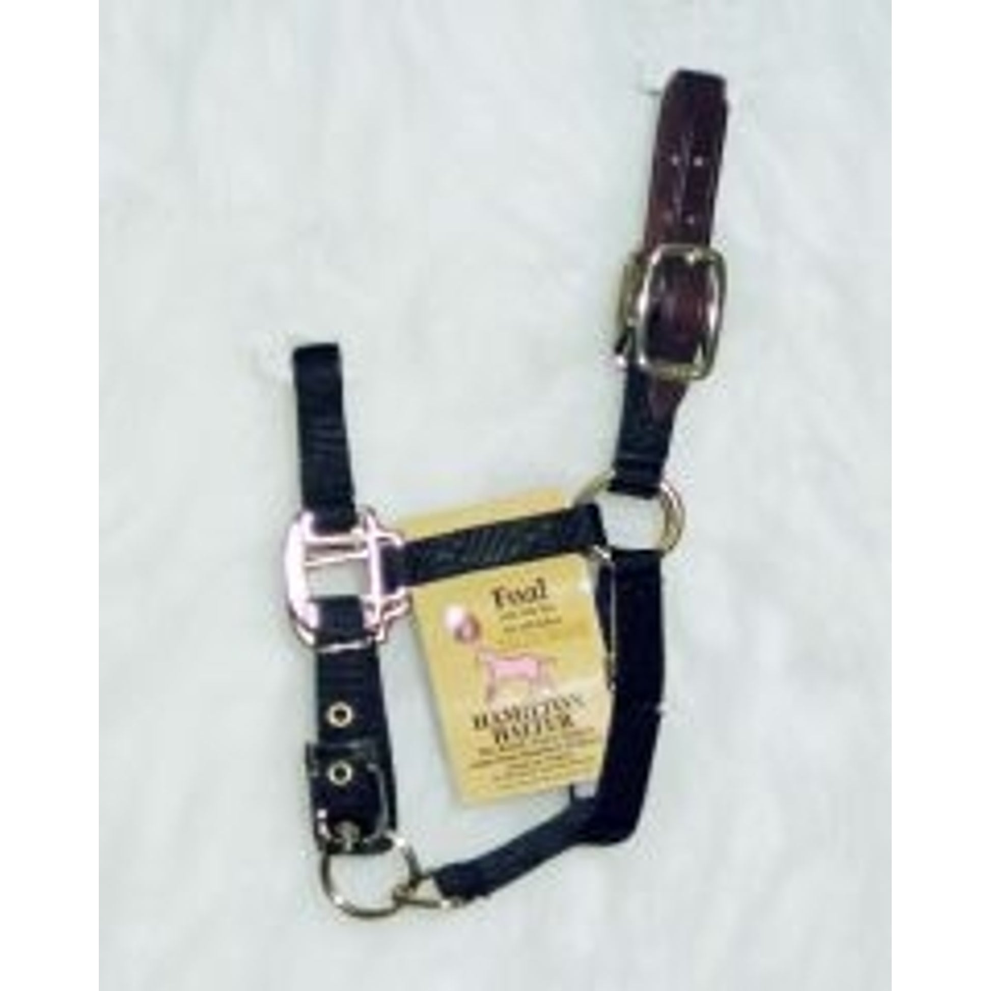 Hamilton Foal Halter with Crown 12x6.5x1.5 Black