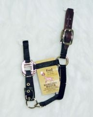 Hamilton Foal Halter with Crown 12x6.5x1.5 Black