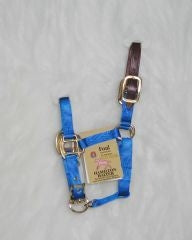 Hamilton Foal Halter with Crown 12x6.5x1.5 Black