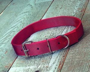 Hamilton Collar For Calves 4 x .5 x 4 Brown
