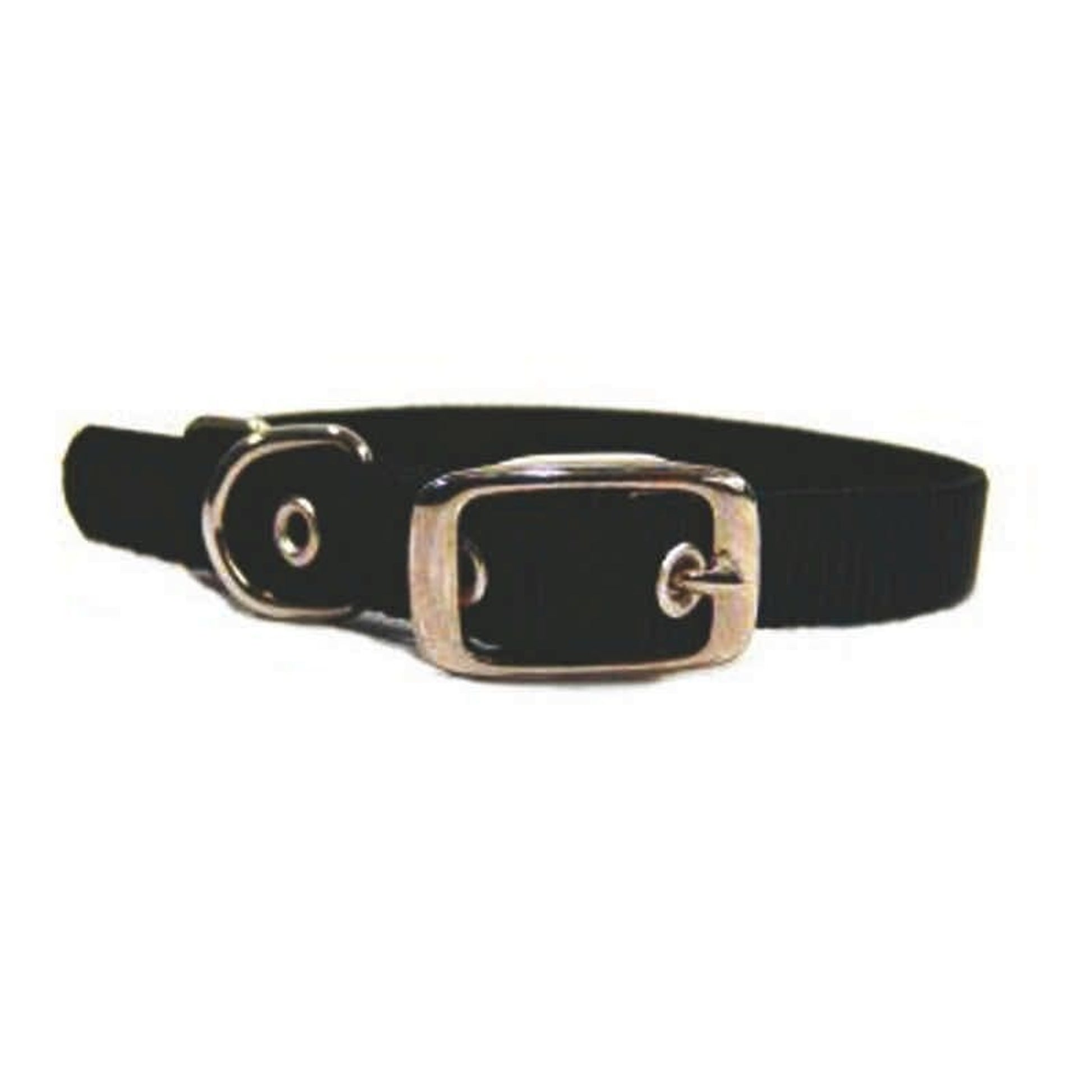 Single Nylon Dog Collar 2x0.25x0.25 Black