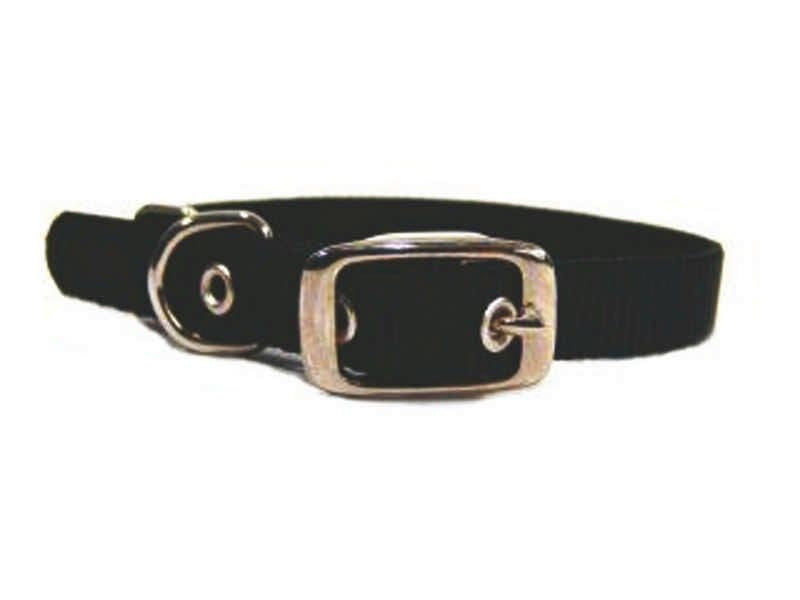 Single Nylon Dog Collar 2x0.25x0.25 Black