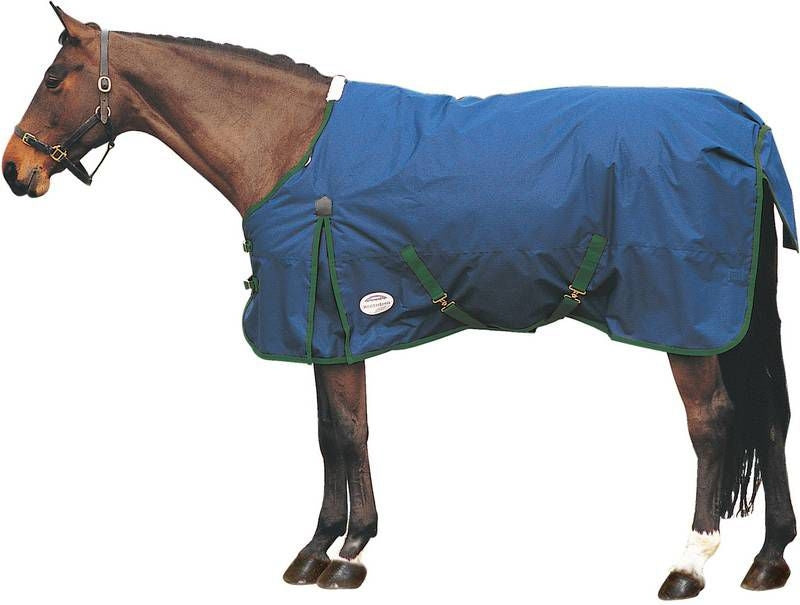 Weatherbeeta Landa Original Turnout Sheet