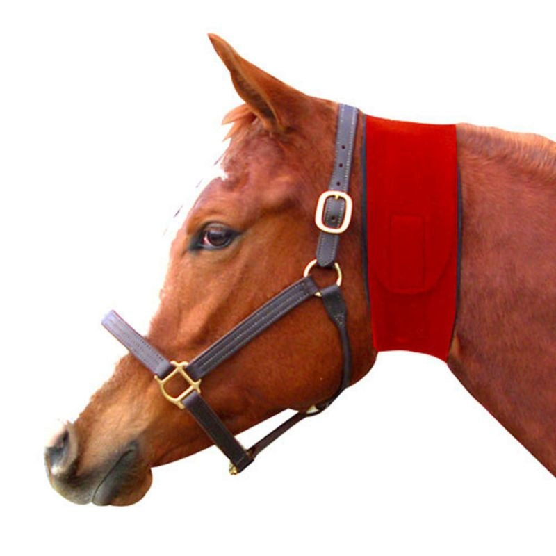 Neoprene Jowl Sweat