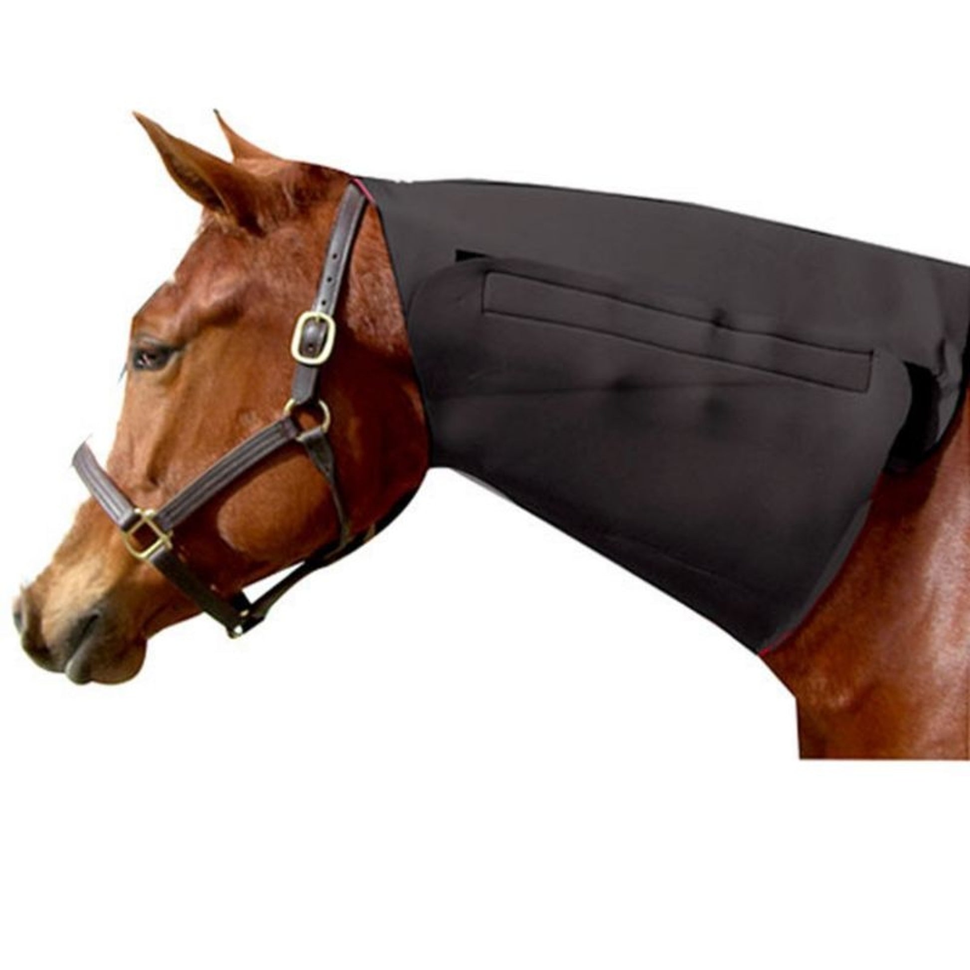 Full Neck Sweat Red Horse