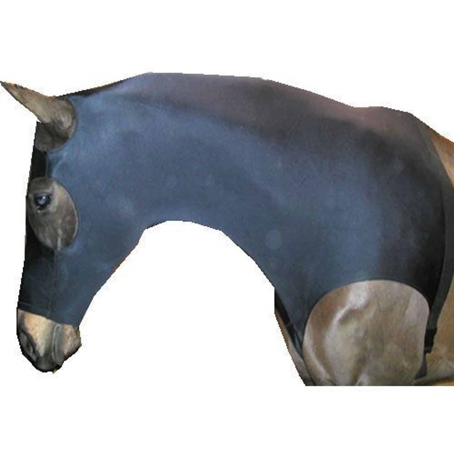 TH207557.jpg