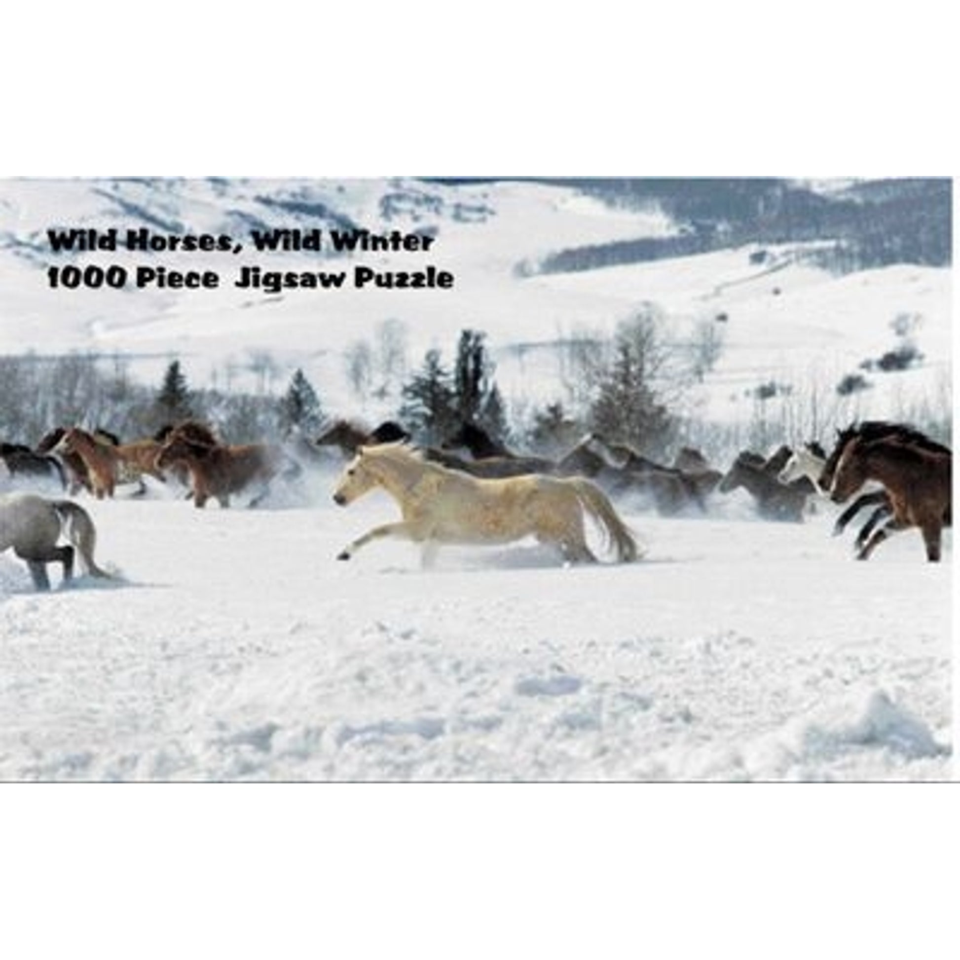 Puzzle - Wild HorsesWild Winter 1000 Pc
