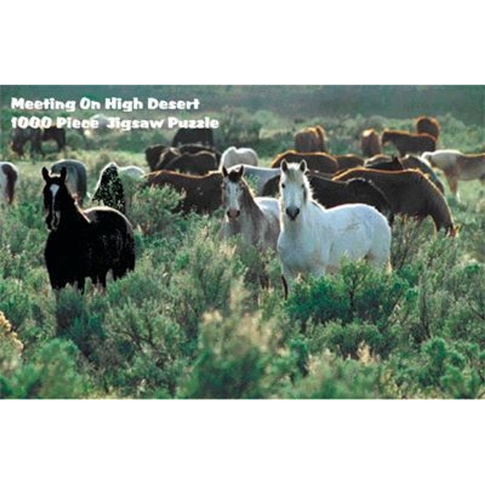 Puzzle - Meeting On High Desert 1000 Pc