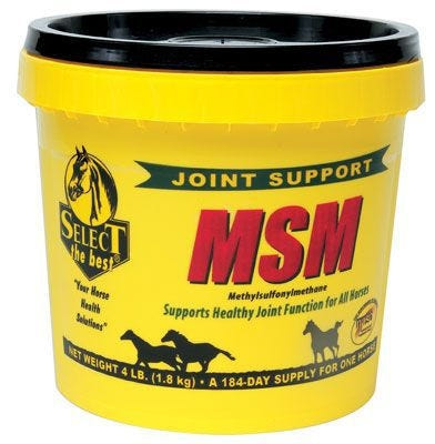 Select The Best MSM Joint Support for Horses