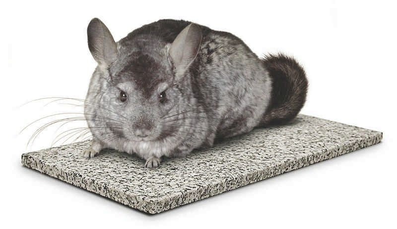Chin Chiller - Cooling Granite 0.5 x4.25 x0.75 Gry