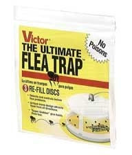 Victor The Ultimate Flea Trap