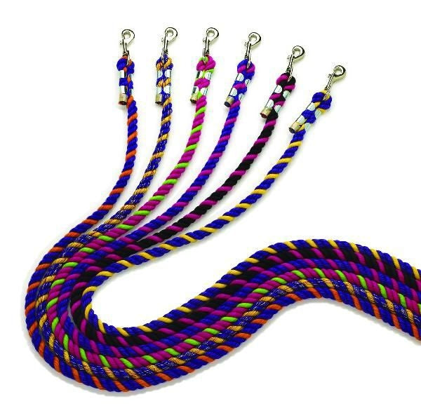 Perris Neon Colored Lead With Chain 6ft Brn