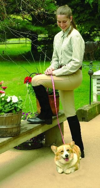 Suede Schooling Half Chaps