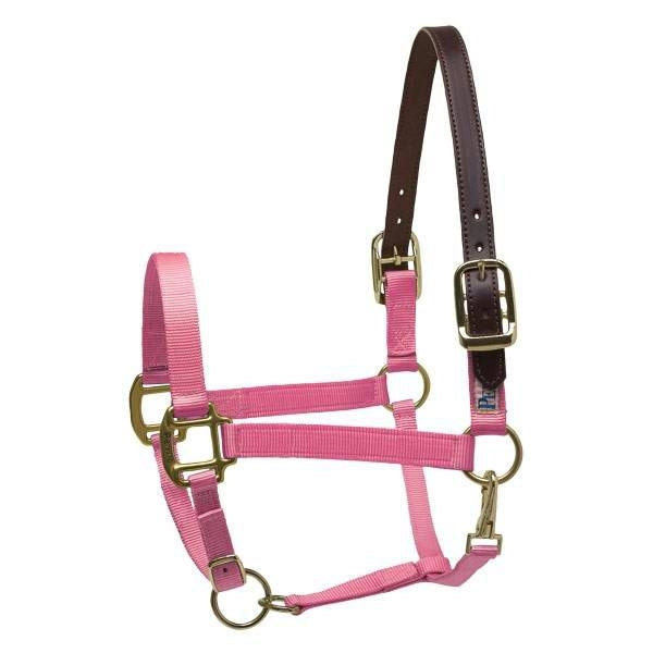 Perris Ribbon Safety Halter Pony Navy/Ikat
