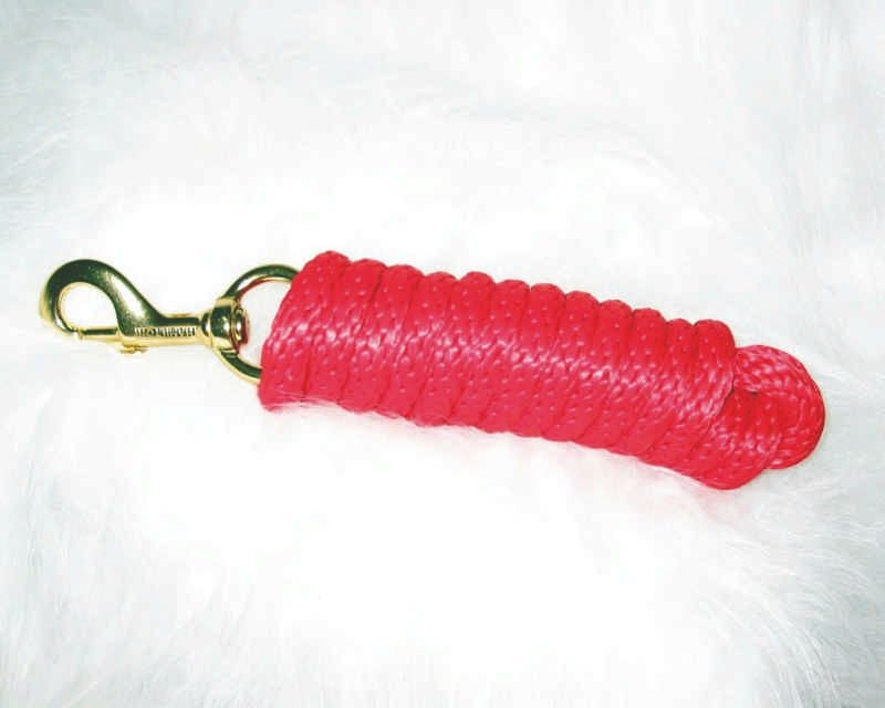 Rope Lead With Bolt For Dogs 10 Ft Red