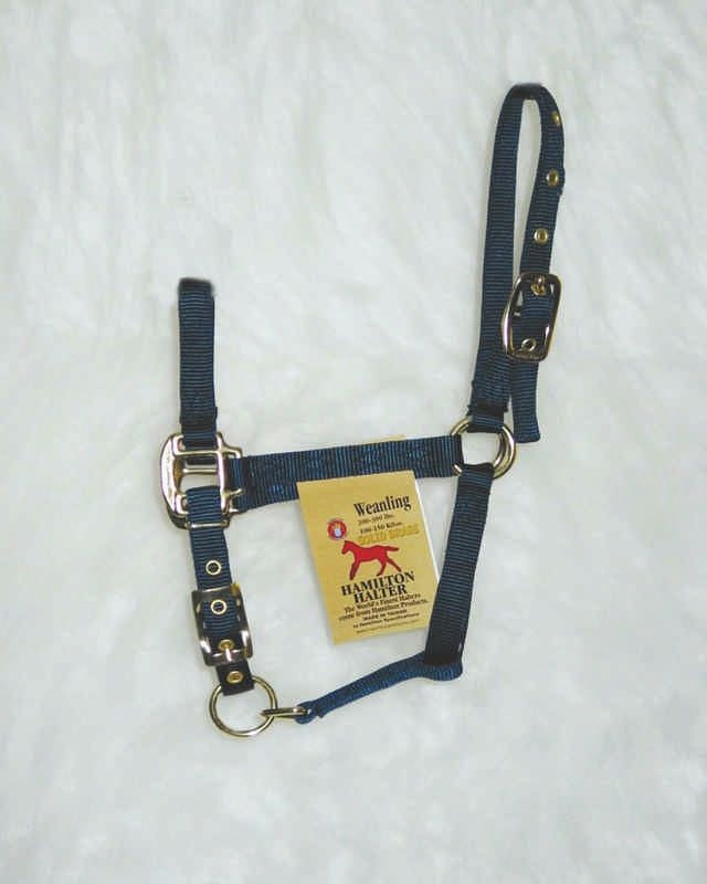 Hamilton Halter with Adjust Chin/Snap Weanling Navy