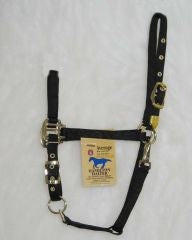 Arabian Horse halter Average Black
