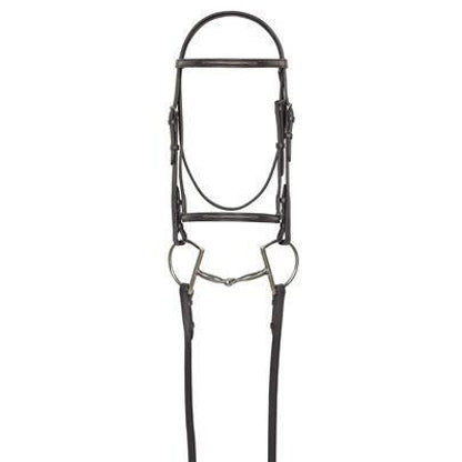 Camelot Raised Fancy Stitched Bridle