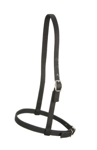 Royal King Nylon Caveson Brn