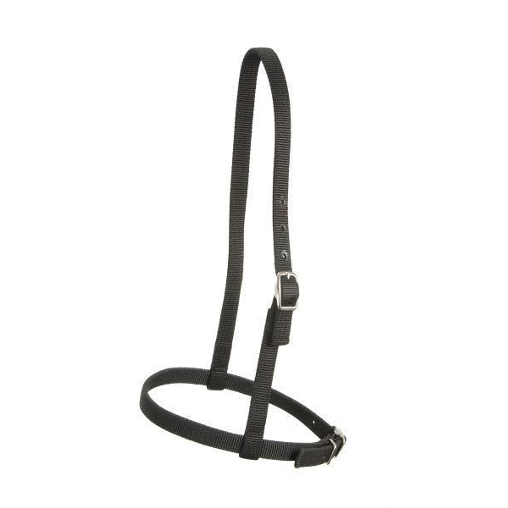Royal King Nylon Caveson Brn