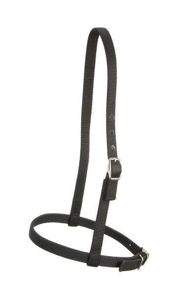 Royal King Nylon Caveson Brn