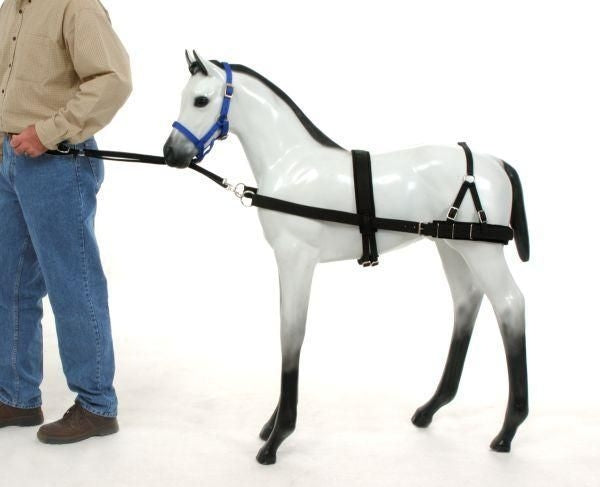 Tough1 Foal Training DeviceBrn