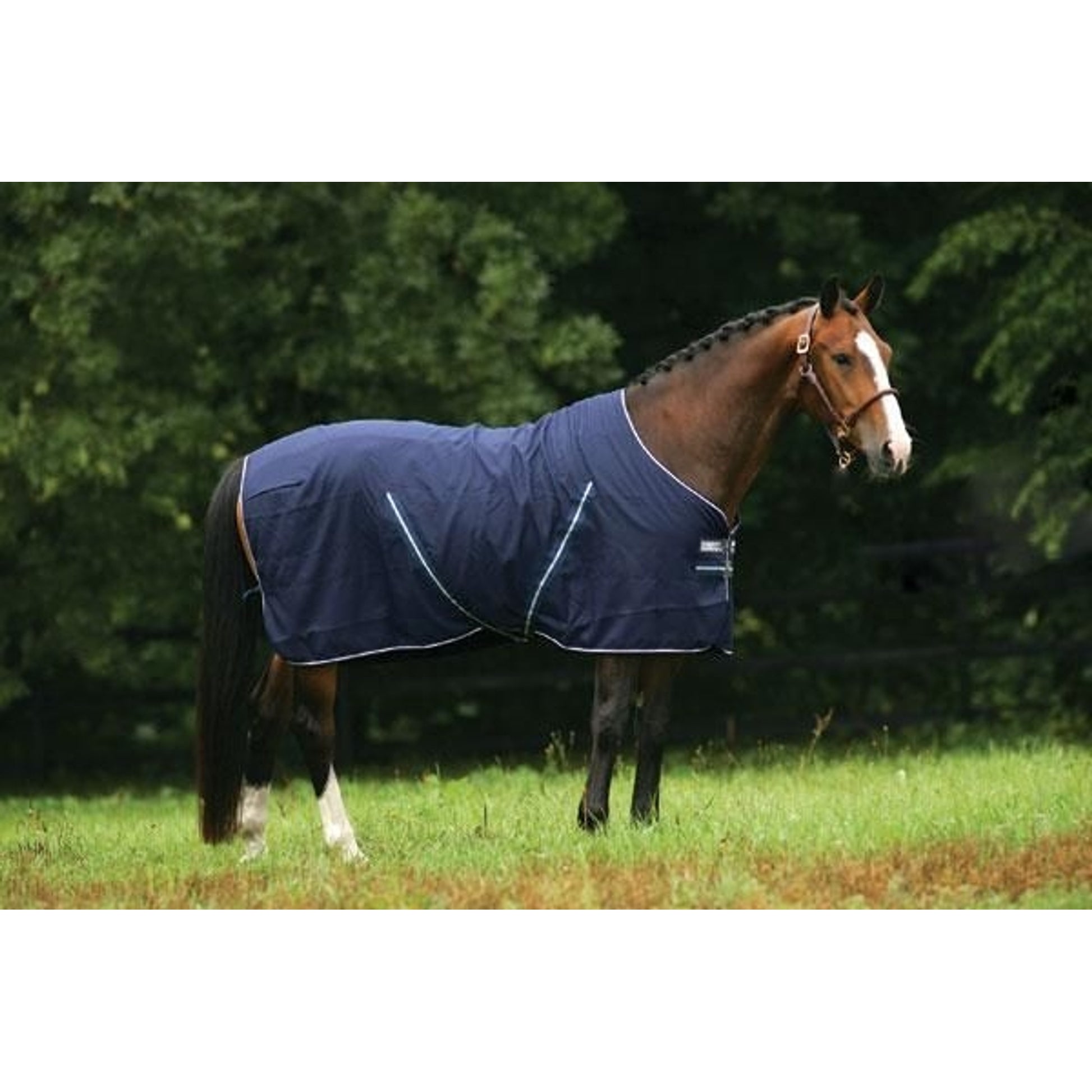 Rambo Stable Sheet