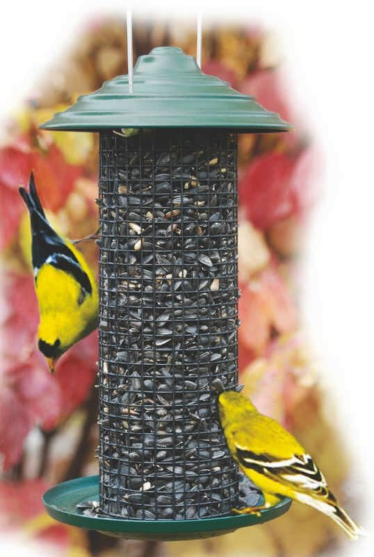 Minimagnum Sunflower Feeder 4.75Diameter Grn