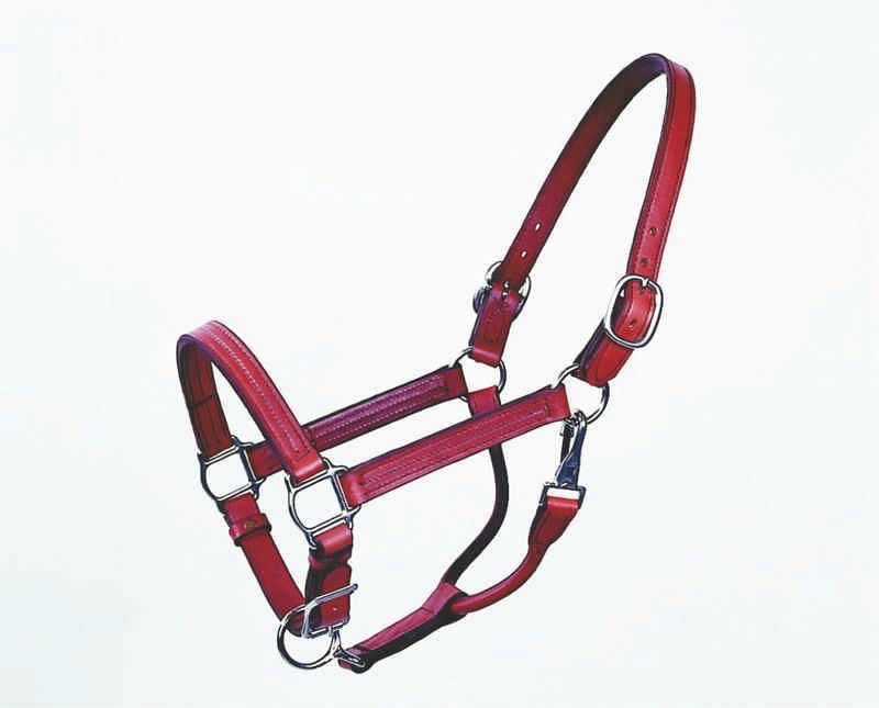 Halter Track Stallion 1 Inch Horse Brn