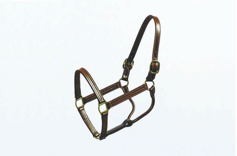 Halter Thoroughbred 1 Inch