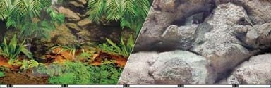 Blue Ribbon Rainforest Aquarium Background
