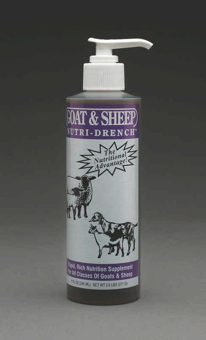 Sheep Nutri-Drench