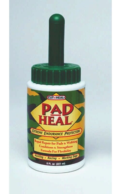 Cut Heal Pad Heal