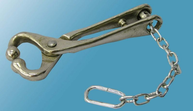 Bull Lead With Chain