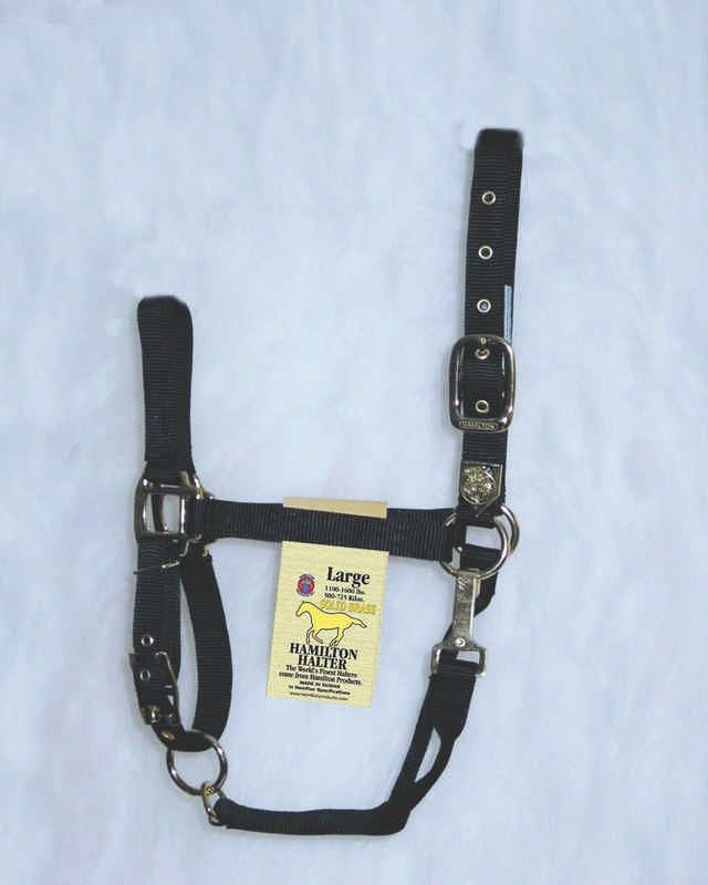 Hamilton Halter Adjustable Chin/Snap Yearling Blue
