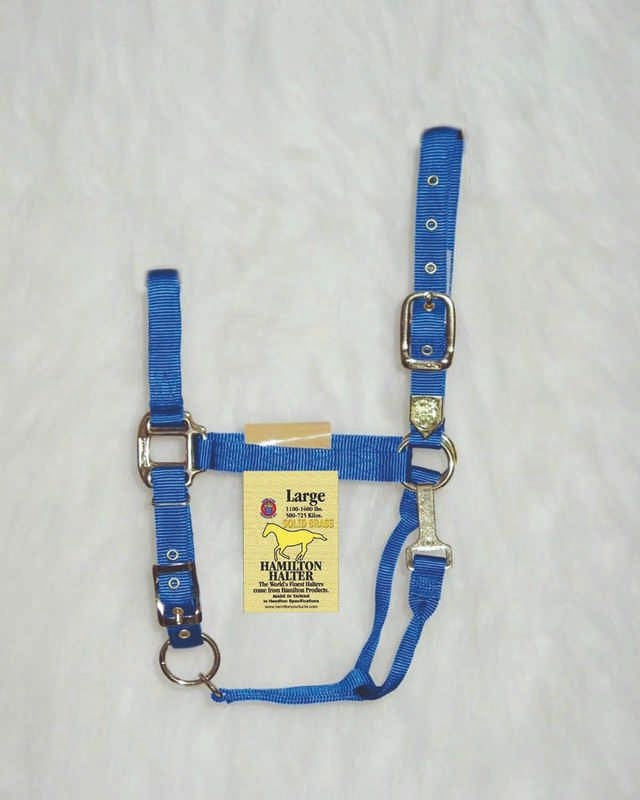 Hamilton Halter Adjustable Chin/Snap Yearling Blue