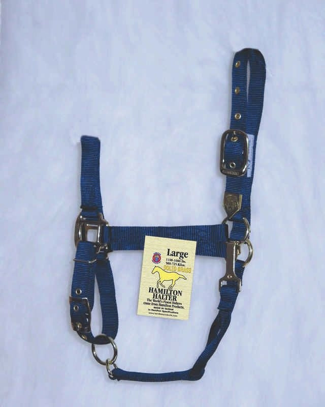 Hamilton Halter Adjustable Chin/Snap Yearling Blue