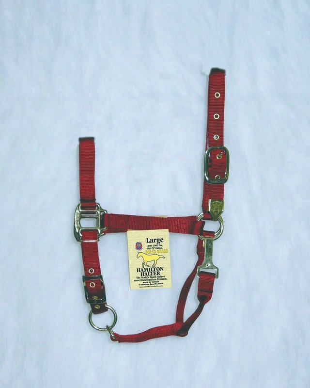 Hamilton Halter Adjustable Chin/Snap Yearling Blue