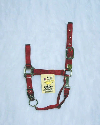 Hamilton Halter Adjustable Chin/Snap Yearling Blue