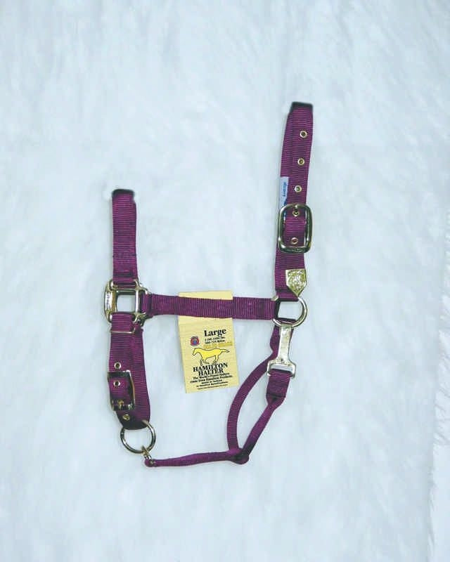 Hamilton Halter Adjustable Chin/Snap Yearling Blue