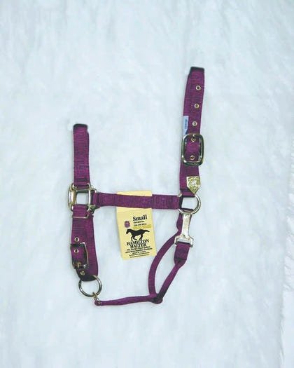 Hamilton Halter Adjustable Chin/Snap Yearling Blue