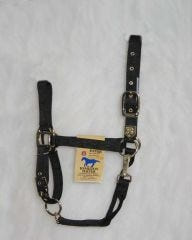 Hamilton Halter Adjustable Chin/Snap Yearling Blue